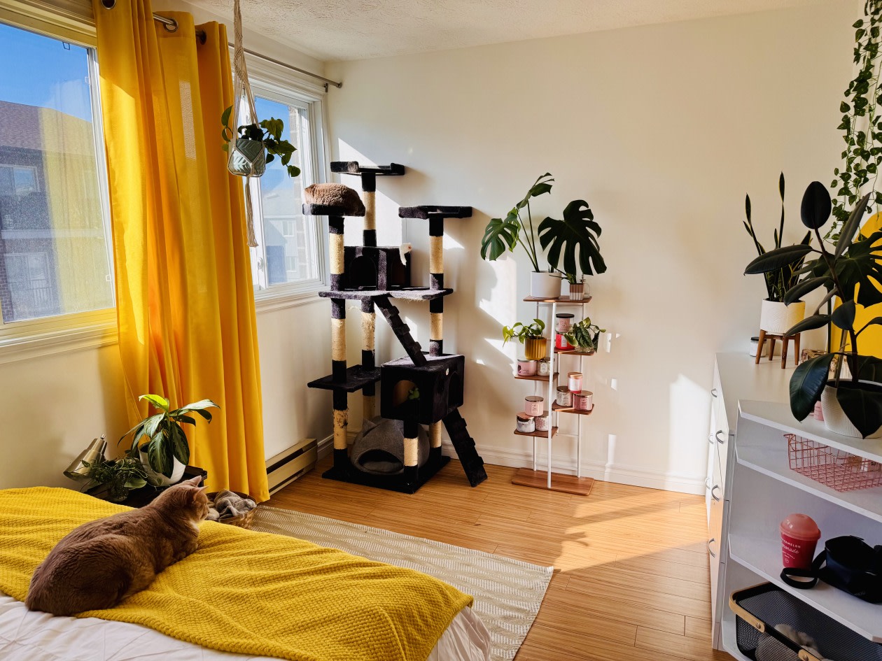 Photo 9 — 840 rue de Nemours, 309, Québec, G1H 7B3, Québec