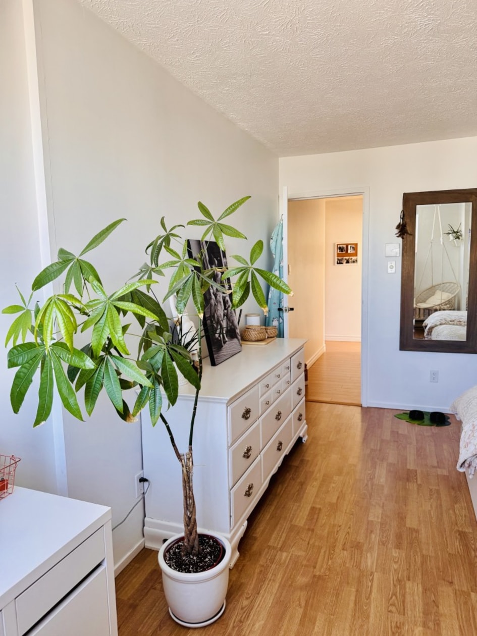 Photo 13 — 840 rue de Nemours, 309, Québec, G1H 7B3, Québec