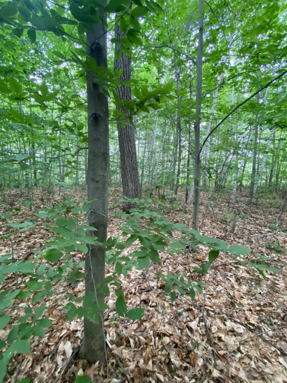 Photo 2 — 2327 Chem. de la Grande Côte, Sainte-Julienne, J0K 2T0, Sainte-Julienne