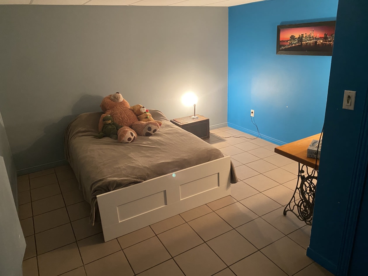 Photo 17 — 424 Rue Séguin, Sainte-Sophie, J5J 1L7, Sainte-Sophie