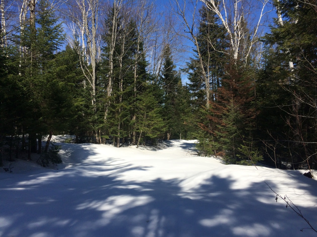 Terrain — Chemin du Lac-Pilon, Sainte-Adèle, J8B 1N8, Sainte-Adèle