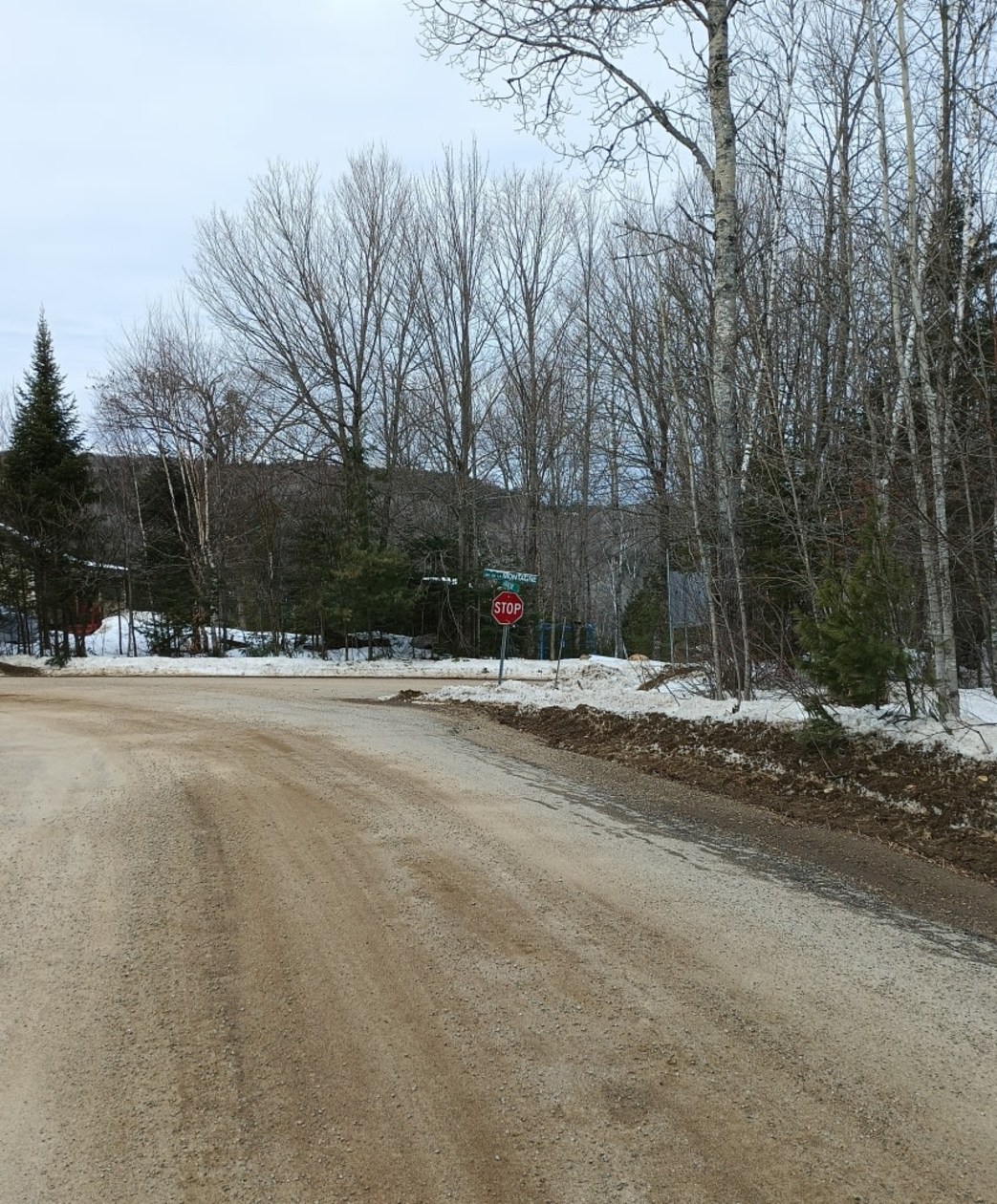 Rue — 137 Chemin de la Montagne, Mandeville, J0K 1L0, Mandeville