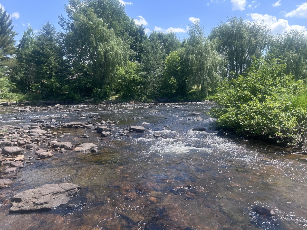 Photo 21 — 1281 Rang Montcalm, Saint-Liguori