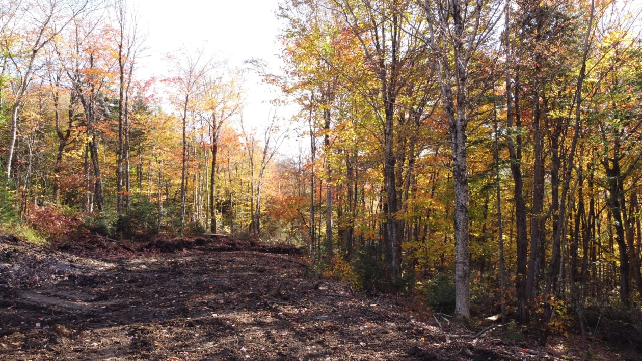 Photo 4 — 126 Ch Des Granites, Lac-Beauport, G3B 0G1, Lac-Beauport