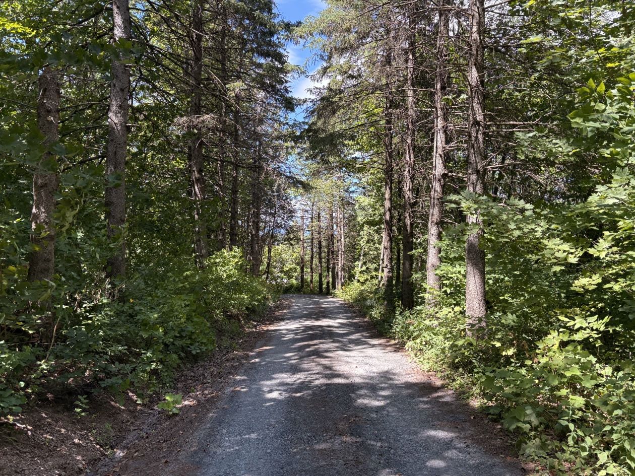Photo 33 — 51 Rue de la Grève-Labonté, Lévis, G6V 9S2, Lévis
