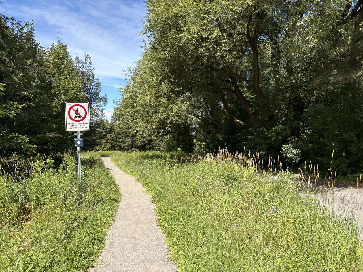 Photo 35 — 51 Rue de la Grève-Labonté, Lévis, G6V 9S2, Lévis