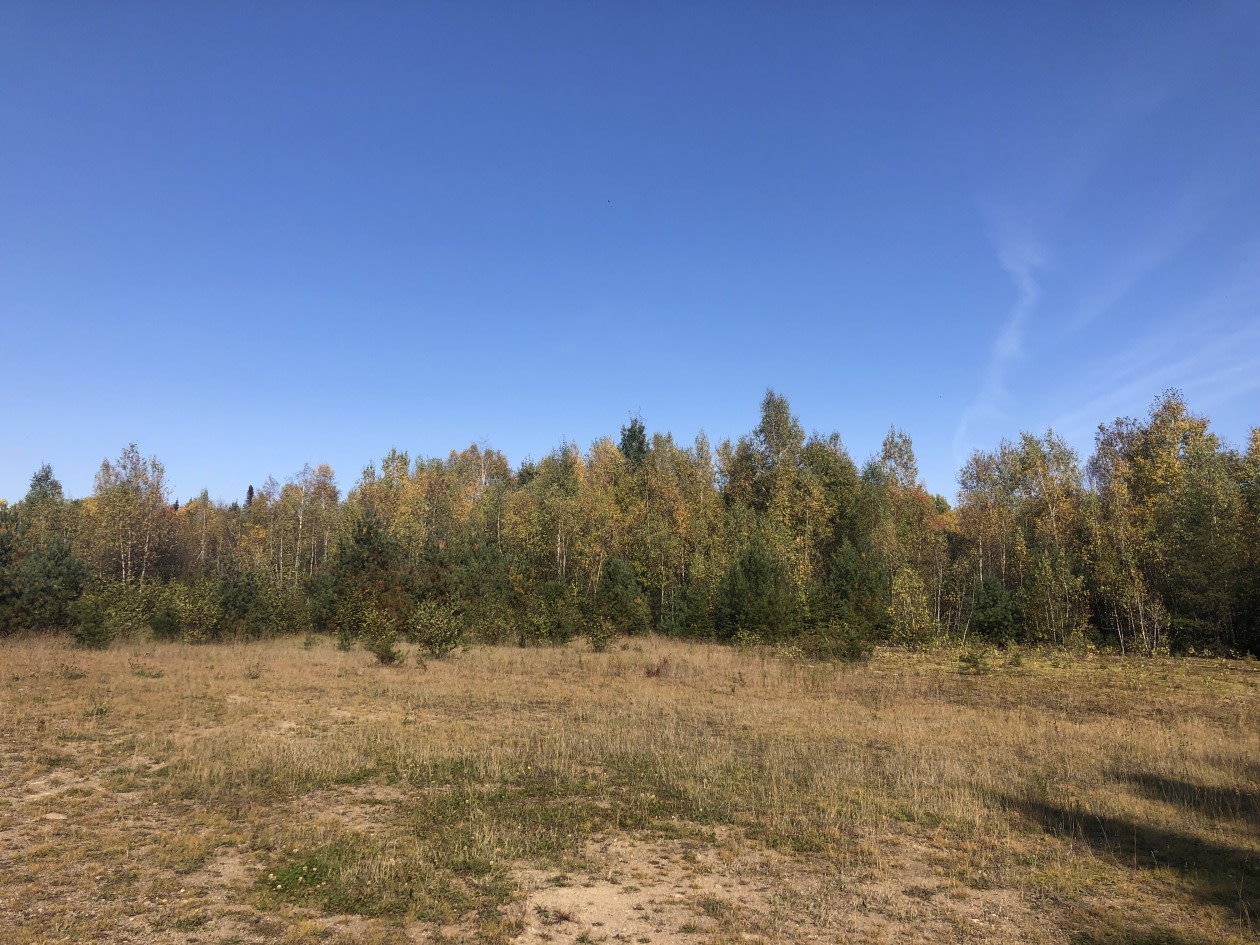 Photo 6 — 1414 Rte. Lac-Pierre-Paul, Saint-Tite, G0X 3H0, Saint-Tite
