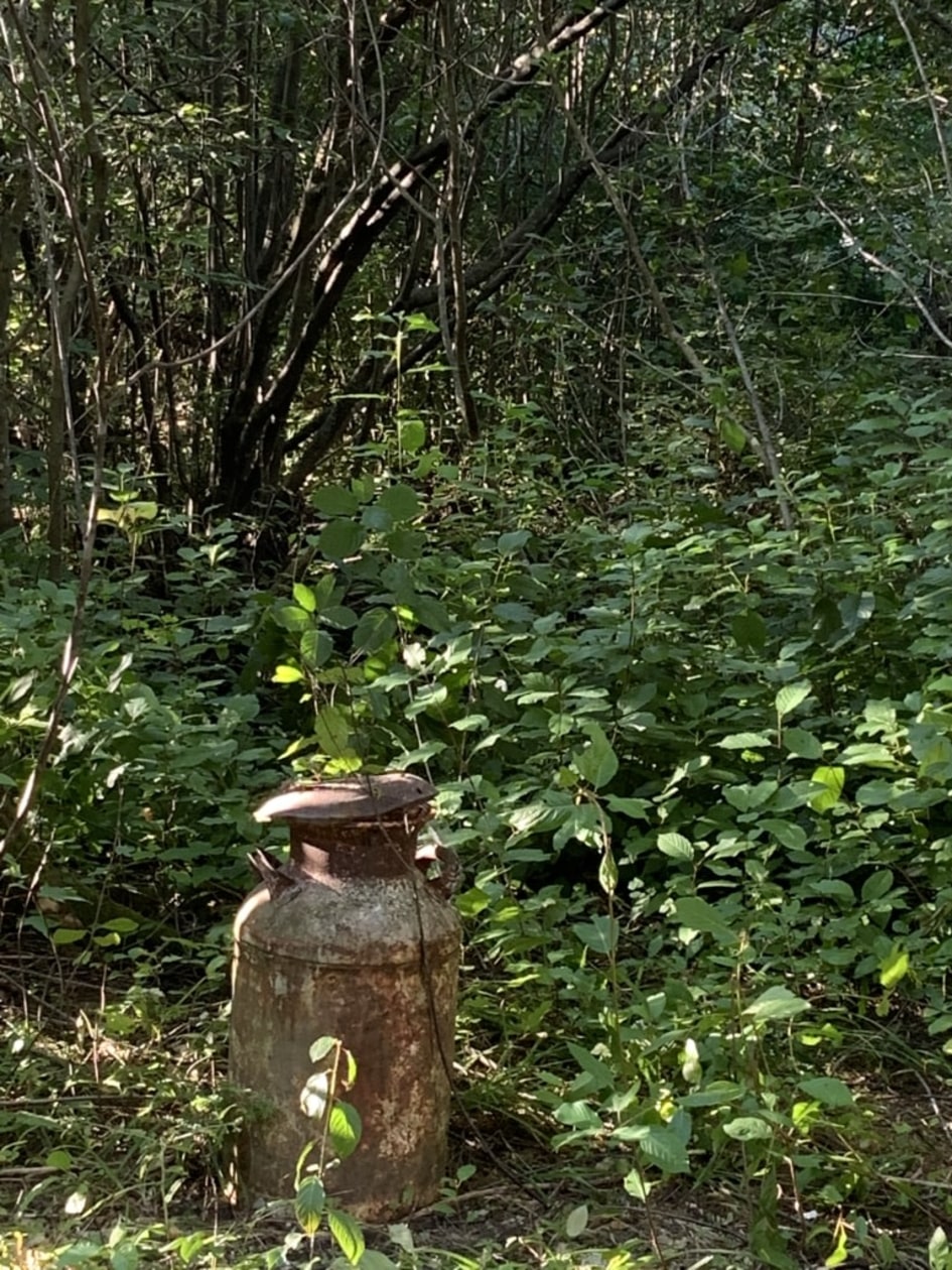 Photo 7 — 270 Chemin Brook , Canton de Cleveland, J0B 2h0, Canton de Cleveland