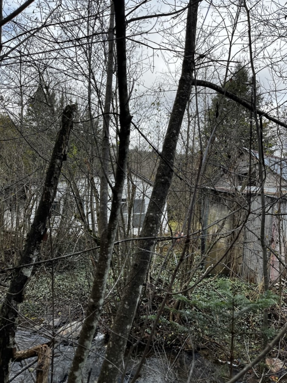 Photo 6 — 270 Chemin Brook , Canton de Cleveland, J0B 2h0, Canton de Cleveland