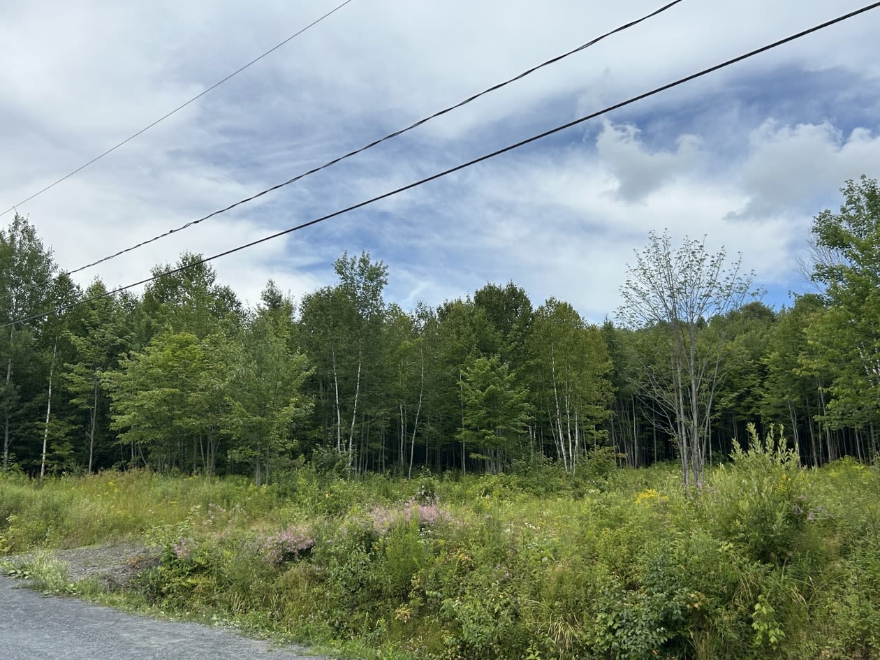 Photo 4 — 0 Rue Des Bosquets, Saint-Benjamin, G0M 1N0, Saint-Benjamin