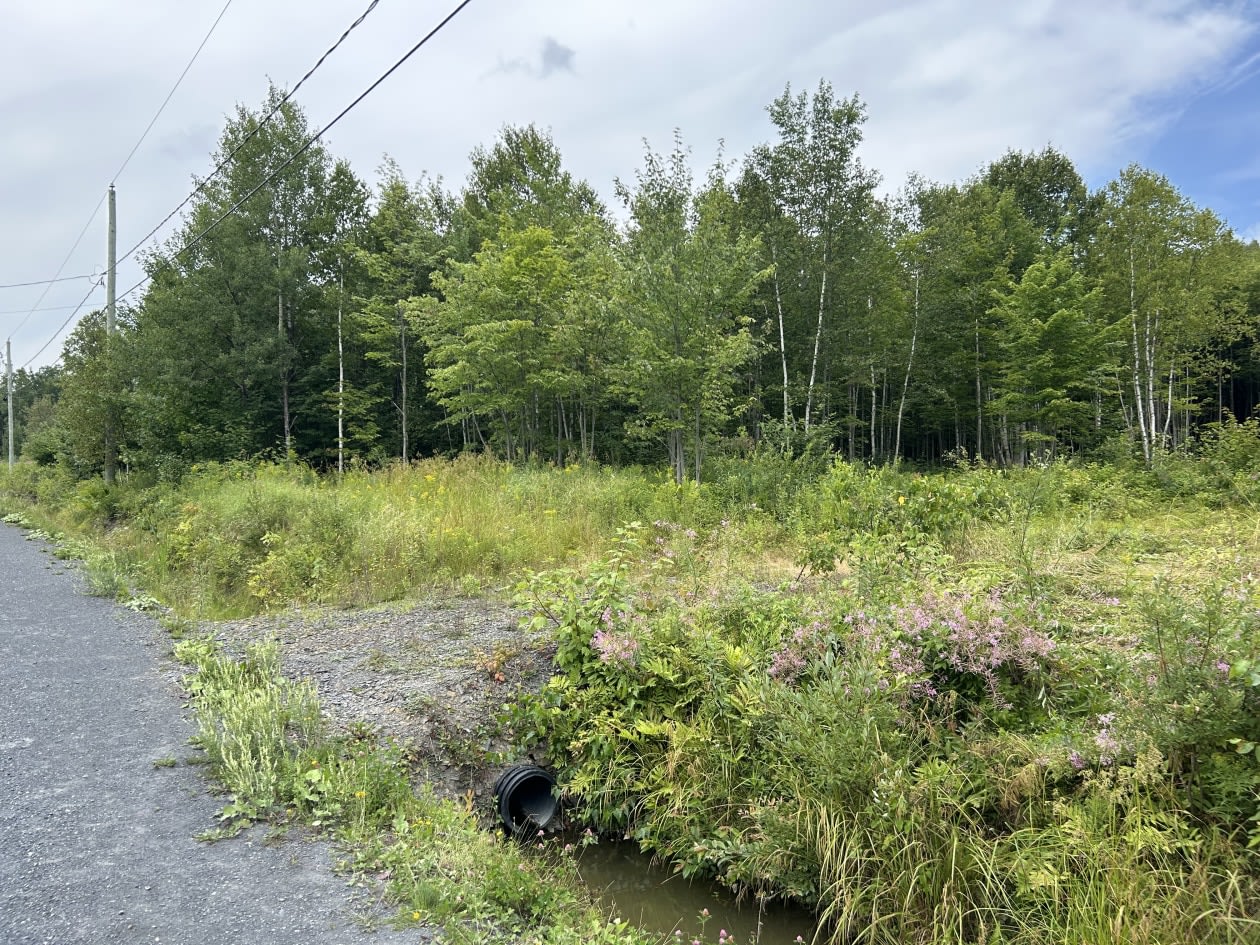 Photo 7 — 0 Rue Des Bosquets, Saint-Benjamin, G0M 1N0, Saint-Benjamin