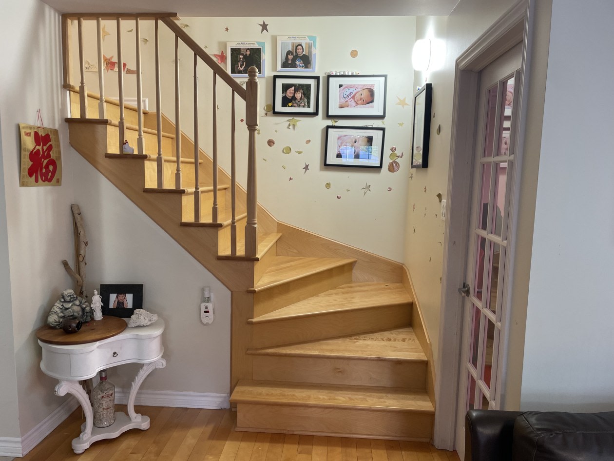 Photo 36 — 3805 Av. Ernest-Hemingway, Saint-Laurent, H4R 3L5, Saint-Laurent