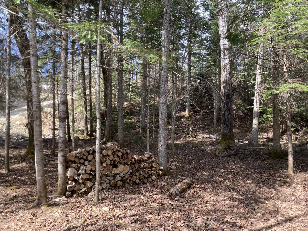 Terrain — 7 rue de la Nature, Lac-Frontière, G0r 1T0, Lac-Frontière