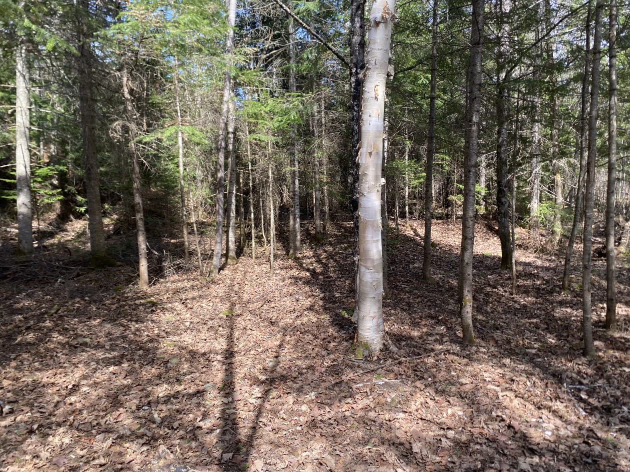 Terrain — 7 rue de la Nature, Lac-Frontière, G0r 1T0, Lac-Frontière