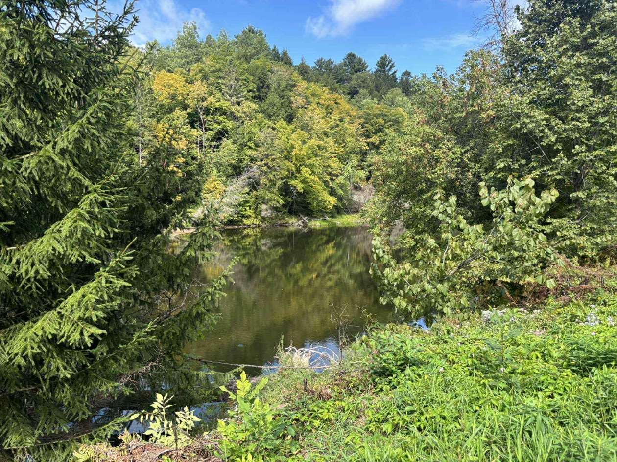 Photo 5 — 1780 Chemin de la sablière, Notre-Dame-de-Lourdes, J0K 1K0, Notre-Dame-de-Lourdes