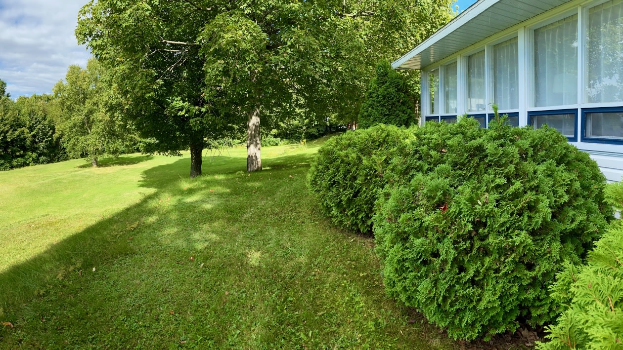 Terrain — 415 Entrée 29, Beaumont, G0R 1C0, Beaumont