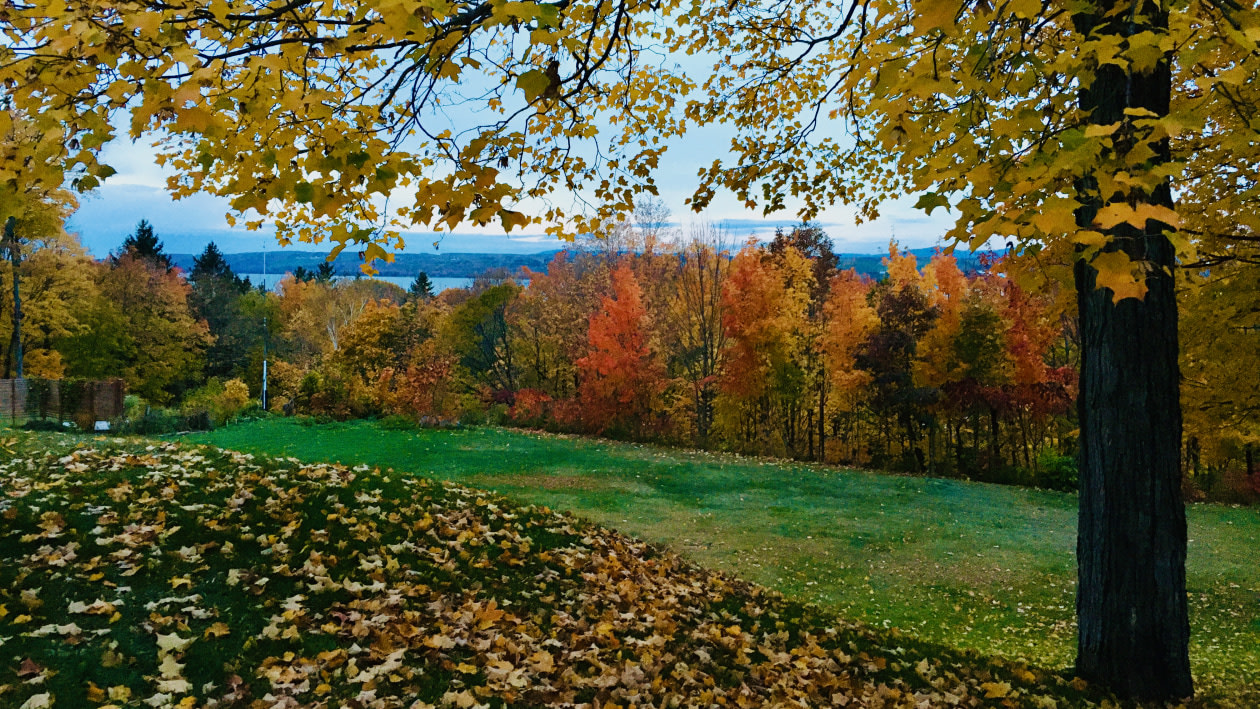 Terrain — 415 Entrée 29, Beaumont, G0R 1C0, Beaumont