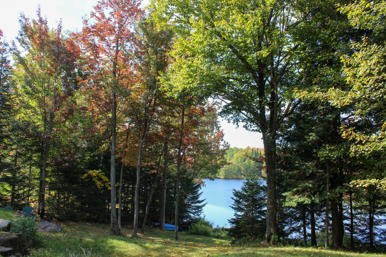 Cour — 25 Chem. Forest Hill, Morin-Heights, J0R 1H0, Morin-Heights