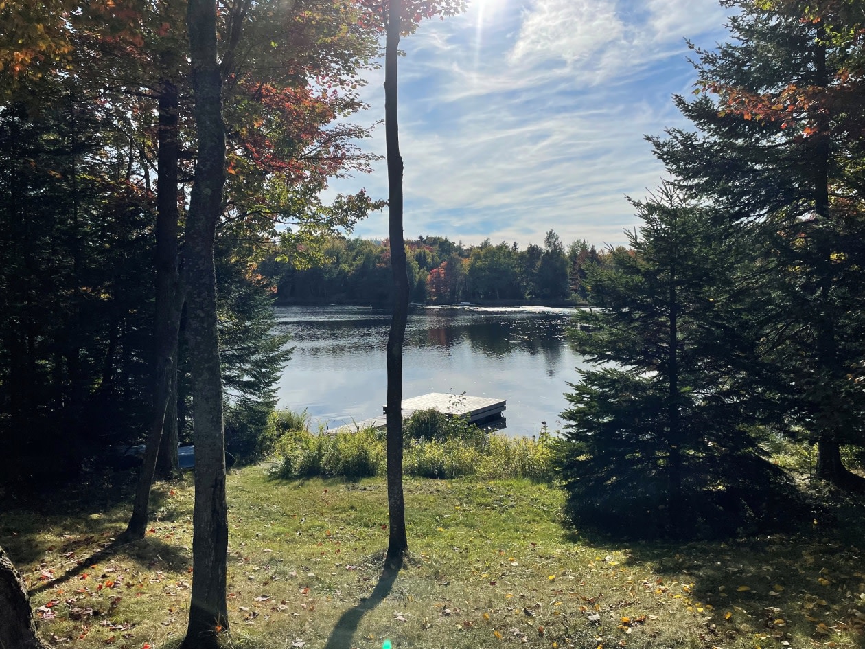 Cour — 25 Chem. Forest Hill, Morin-Heights, J0R 1H0, Morin-Heights
