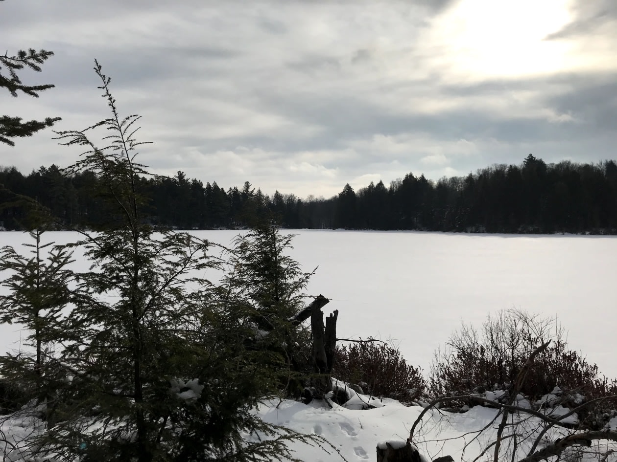 Photo 4 — Chem. des Lynx, Wentworth, J8H 0C7, Wentworth