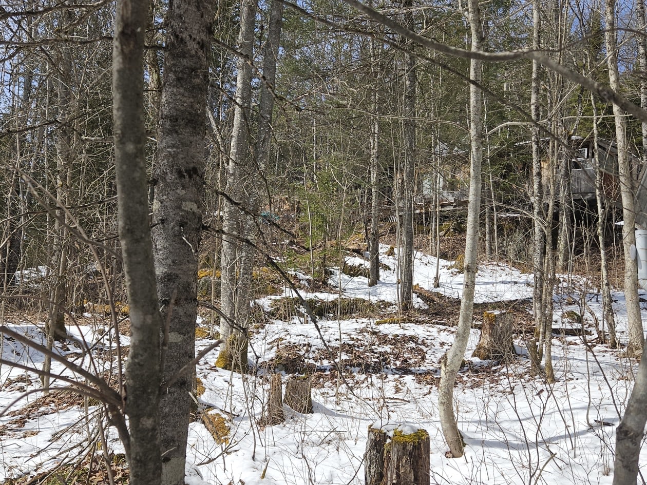 Photo 20 — 865 Chem. de la Rivière, Boileau, J0V 1N0, Boileau