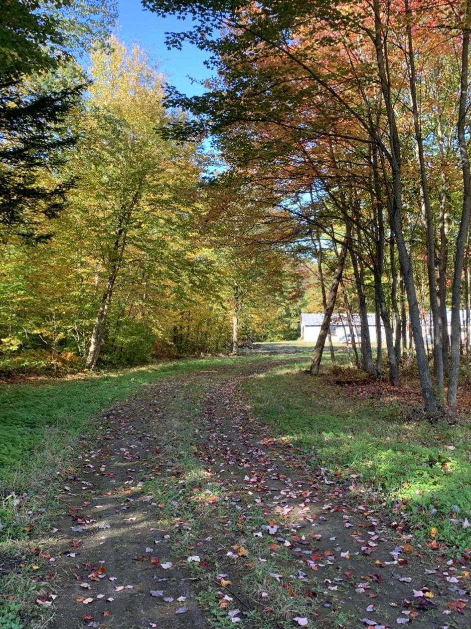Photo 5 — Avenue de Saint-Thomas-de-Caxton, Yamachiche, G0X 2P0, Yamachiche