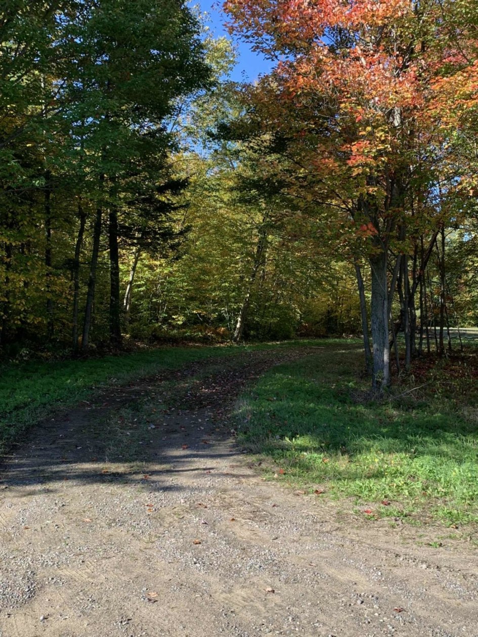 Photo 6 — Avenue de Saint-Thomas-de-Caxton, Yamachiche, G0X 2P0, Yamachiche