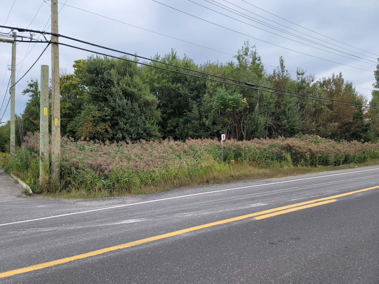 Photo 3 — Chemin Olivier, Lévis, G7A 2N1, Lévis