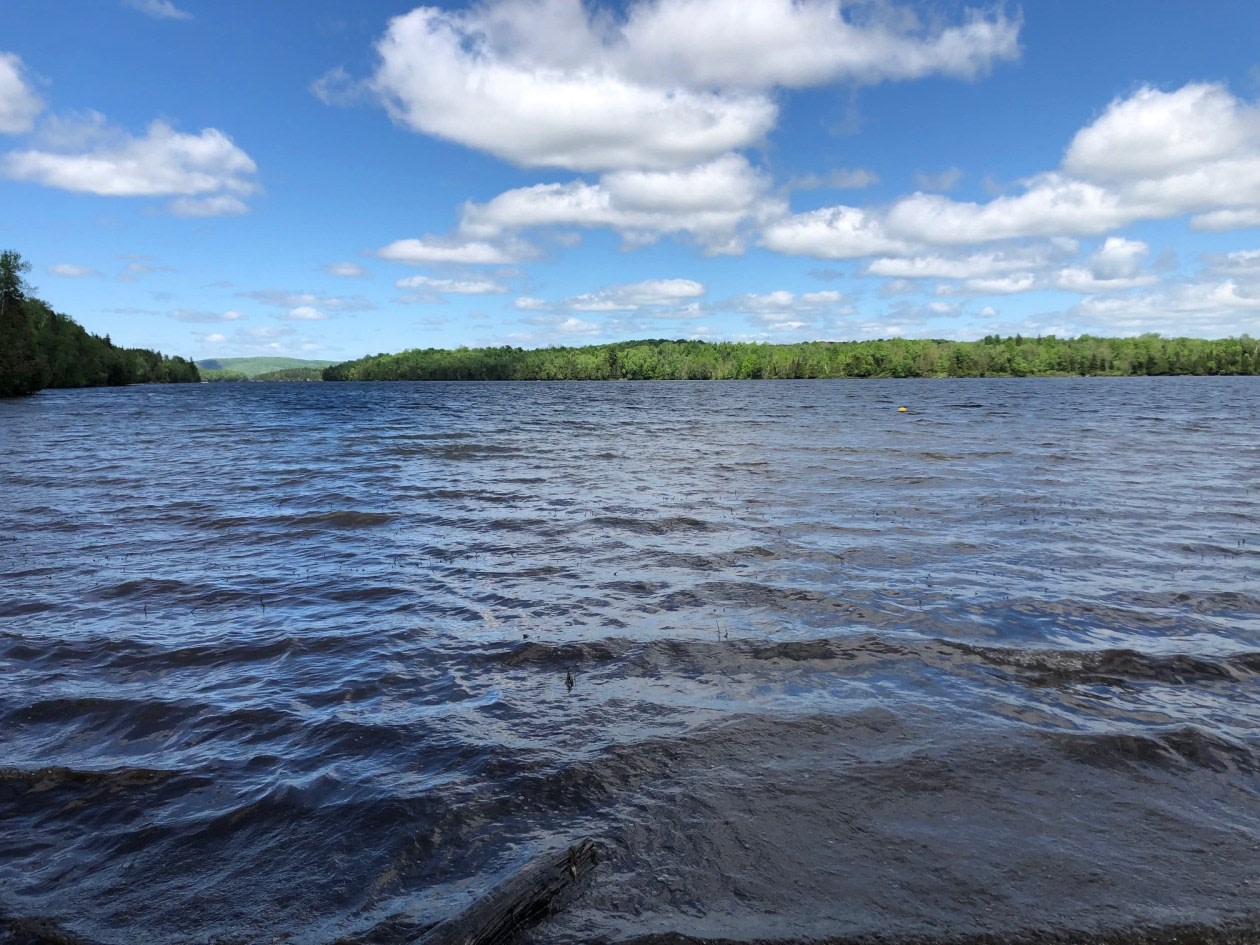 1310 chemin du Tour-du-Lac — photo 1