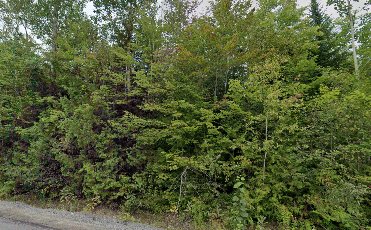 Terrain — Chemin des Monts, Chertsey, J0K 3K0, Chertsey