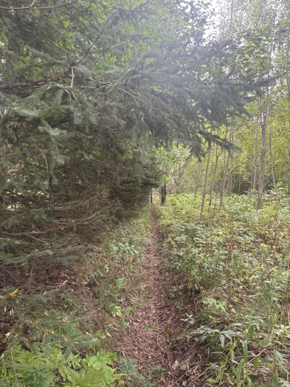 36 Montée des Clochers — photo 2