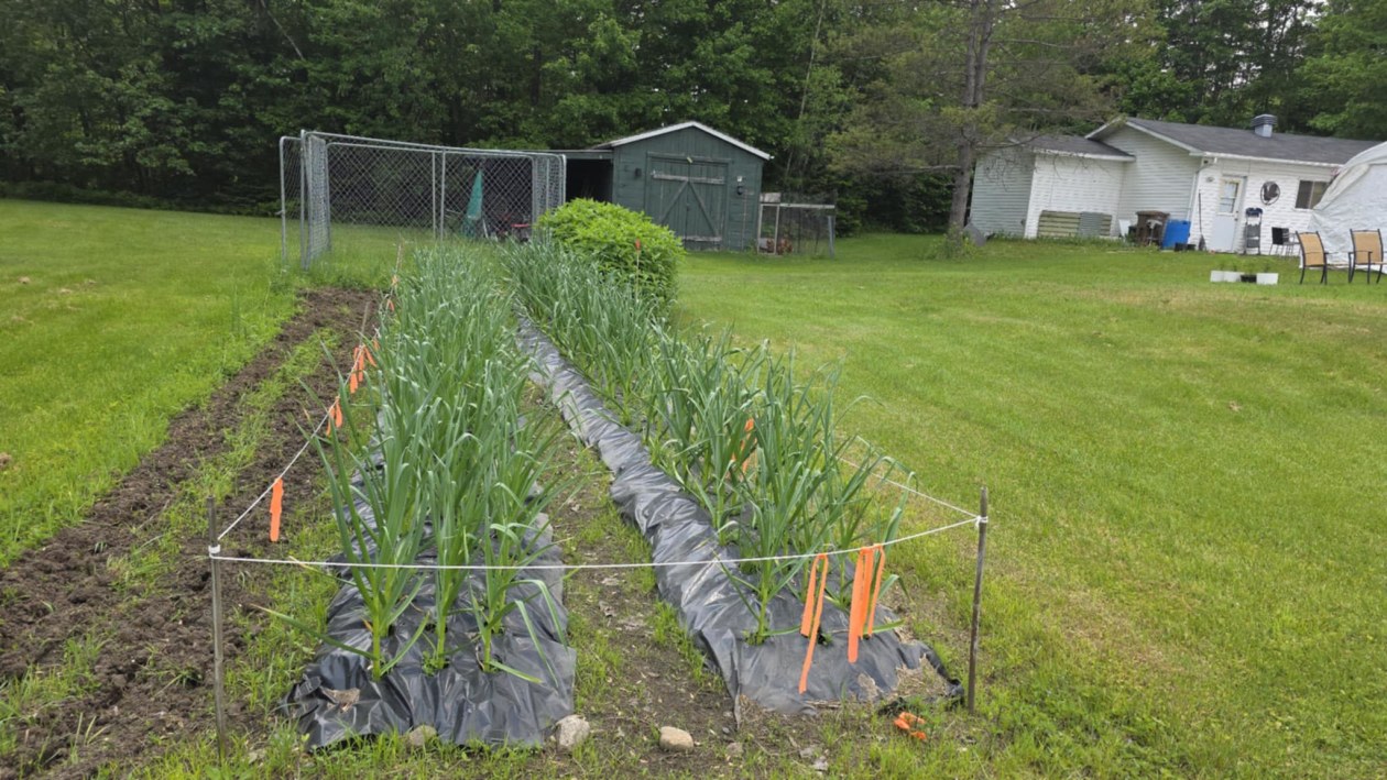 Jardin — 295 Côte Saint-Paul, Saint-Colomban, J5K 1Z6, Saint-Colomban