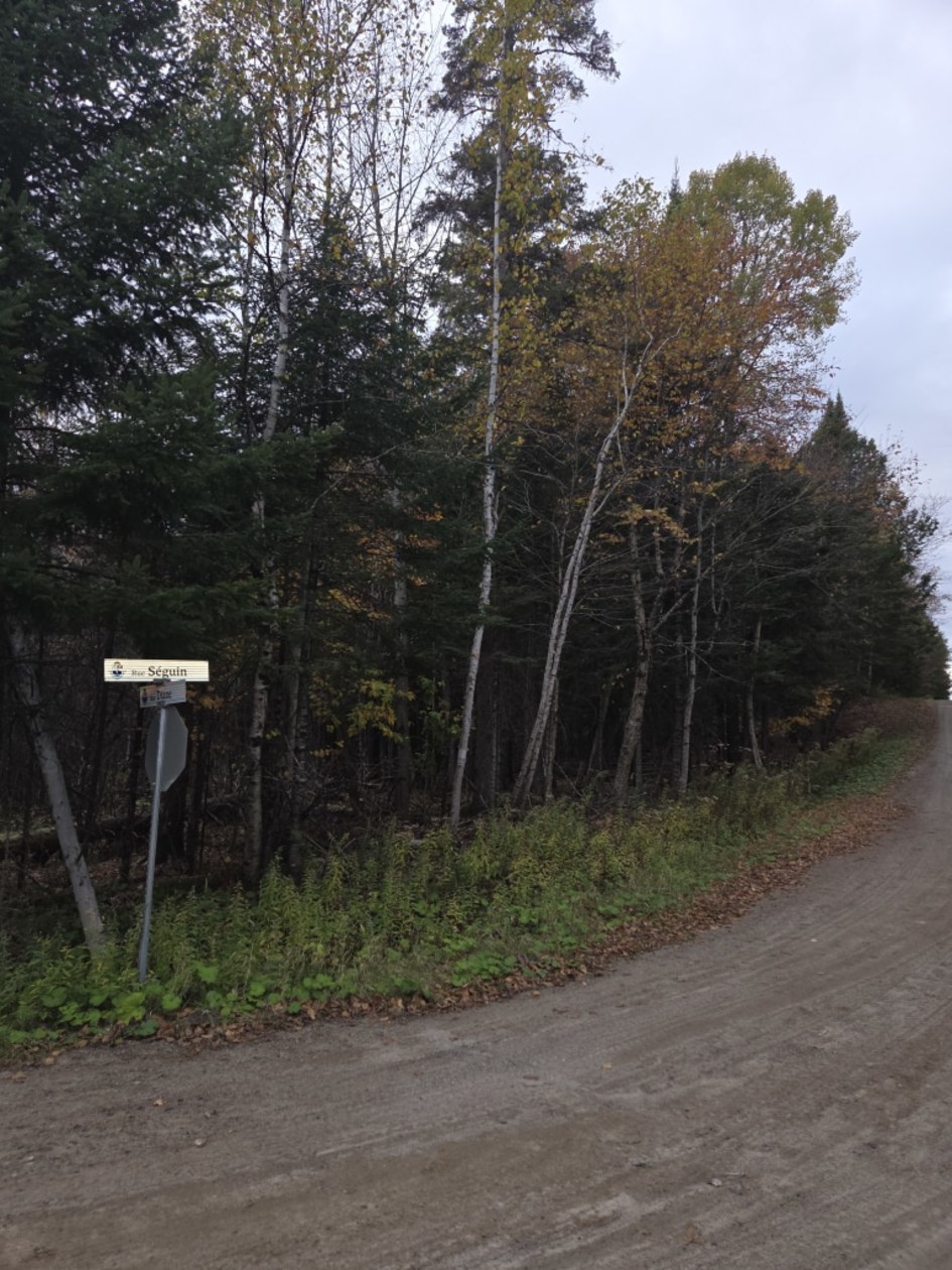 Terrain — Rue Séguin, Wentworth-Nord, J0T 1Y0, Wentworth-Nord