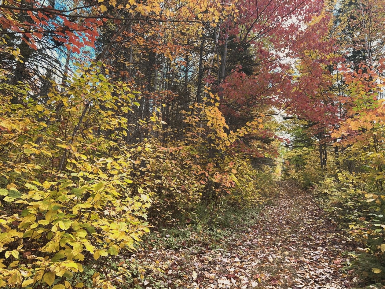 Photo 11 — Rte 170, Petit-Saguenay, G0V 1N0, Petit-Saguenay