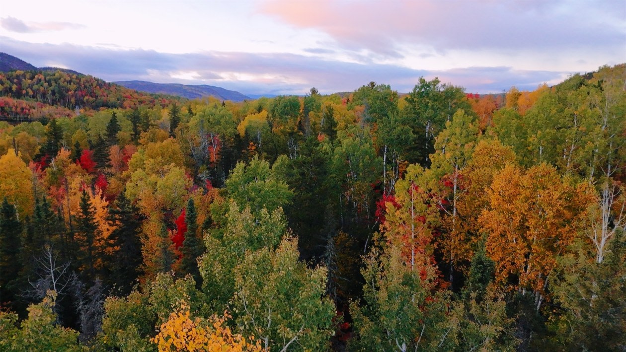 Photo 6 — Rte 170, Petit-Saguenay, G0V 1N0, Petit-Saguenay