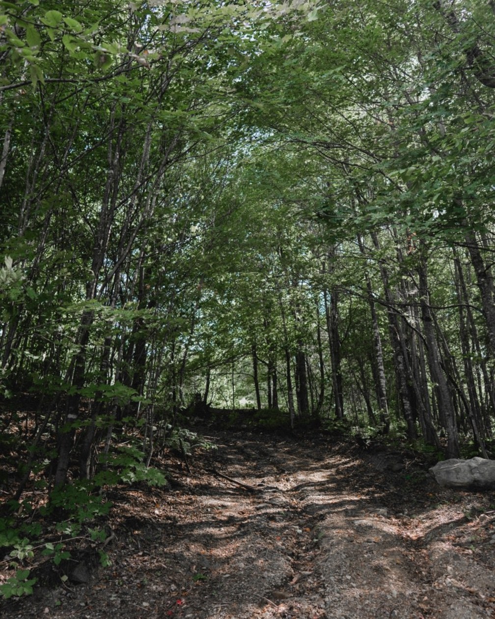 Photo 3 — Chemin du Panorama, Sainte-Agathe-des-monts, J8C 2Z8, Sainte-Agathe-des-monts