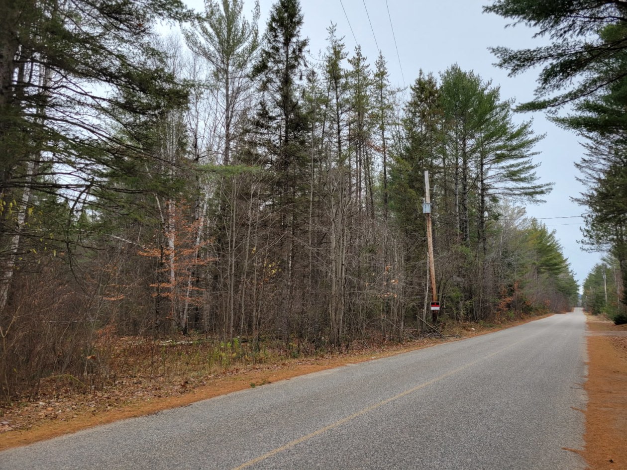 Chemin des Cèdres — photo 1