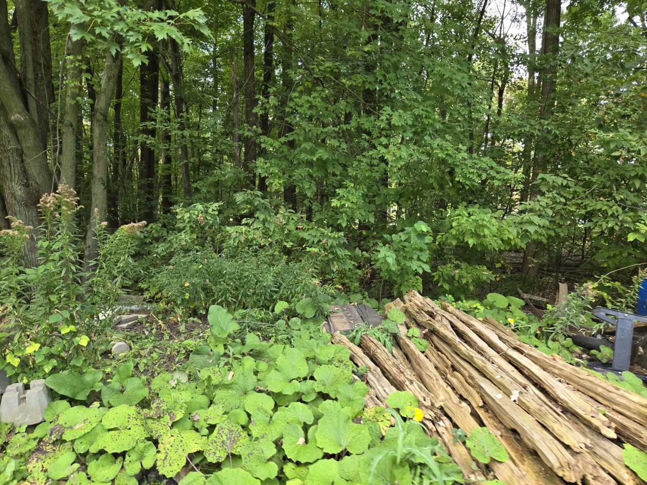 Photo 31 — 67e Ave, Saint-Paul-De-L'Ile-Aux-Noix, J0J 1G0, Saint-Paul-De-L'Ile-Aux-Noix