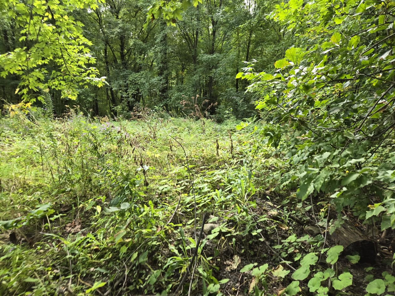 Photo 33 — 67e Ave, Saint-Paul-De-L'Ile-Aux-Noix, J0J 1G0, Saint-Paul-De-L'Ile-Aux-Noix