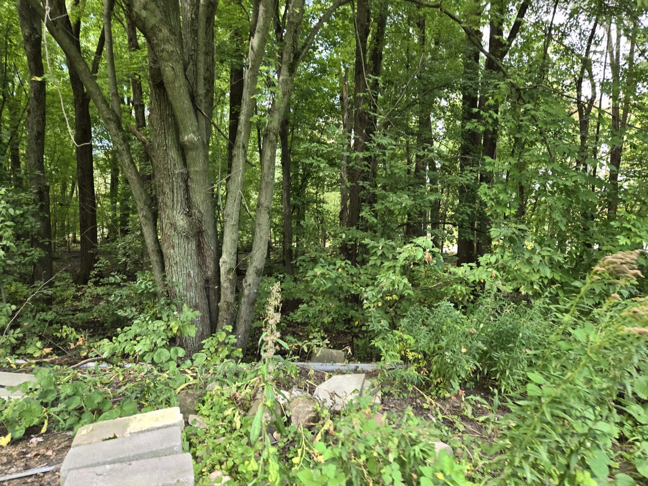 Photo 32 — 67e Ave, Saint-Paul-De-L'Ile-Aux-Noix, J0J 1G0, Saint-Paul-De-L'Ile-Aux-Noix