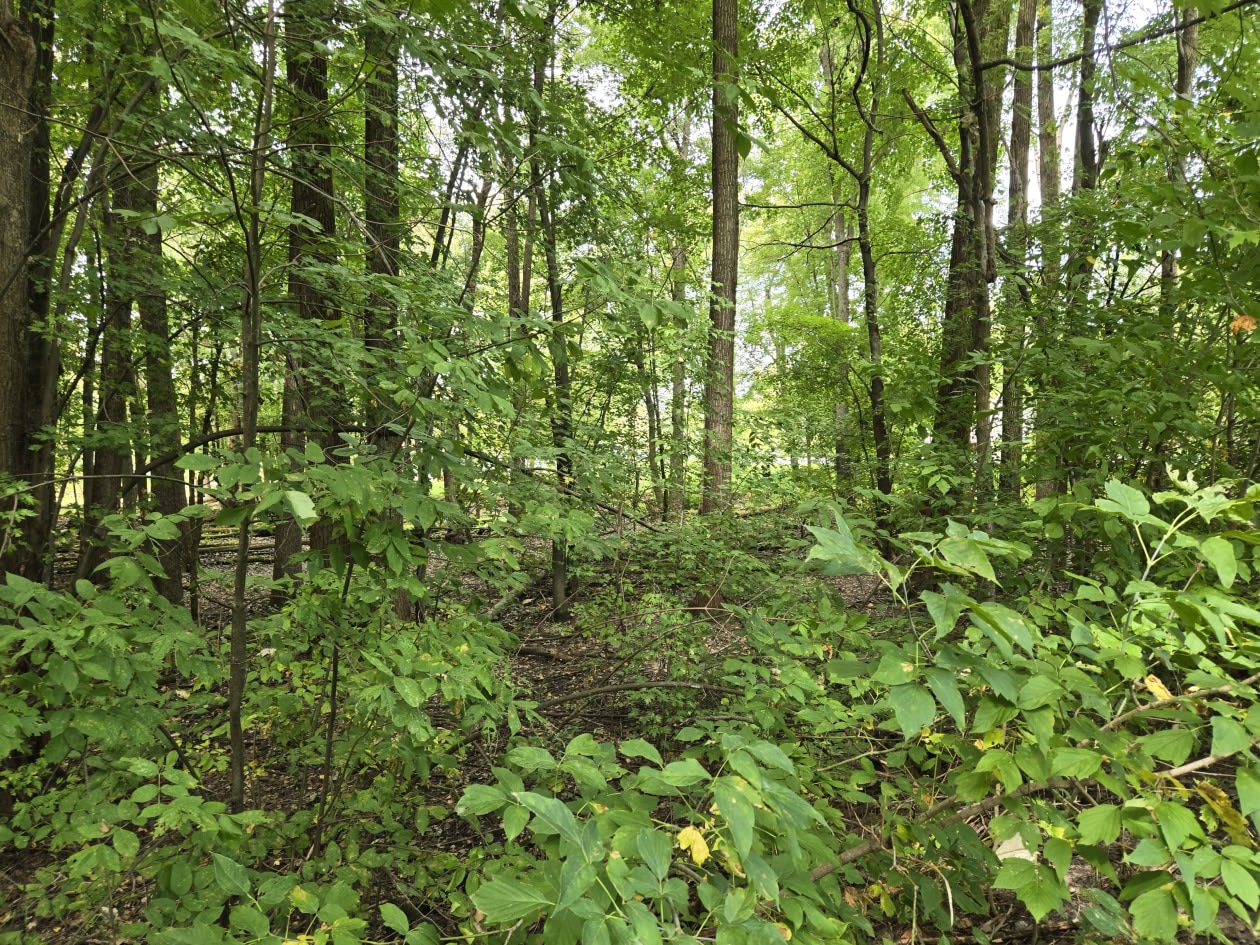 Photo 39 — 67e Ave, Saint-Paul-De-L'Ile-Aux-Noix, J0J 1G0, Saint-Paul-De-L'Ile-Aux-Noix