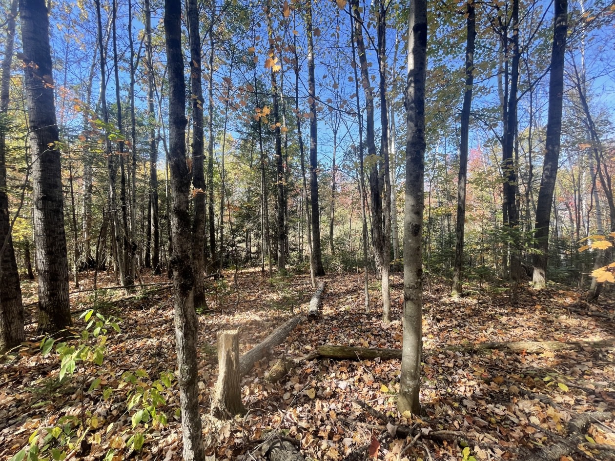 Photo 4 — Chemin Gaspard, L'Ange-Gardien, J8L 0G7, L'Ange-Gardien