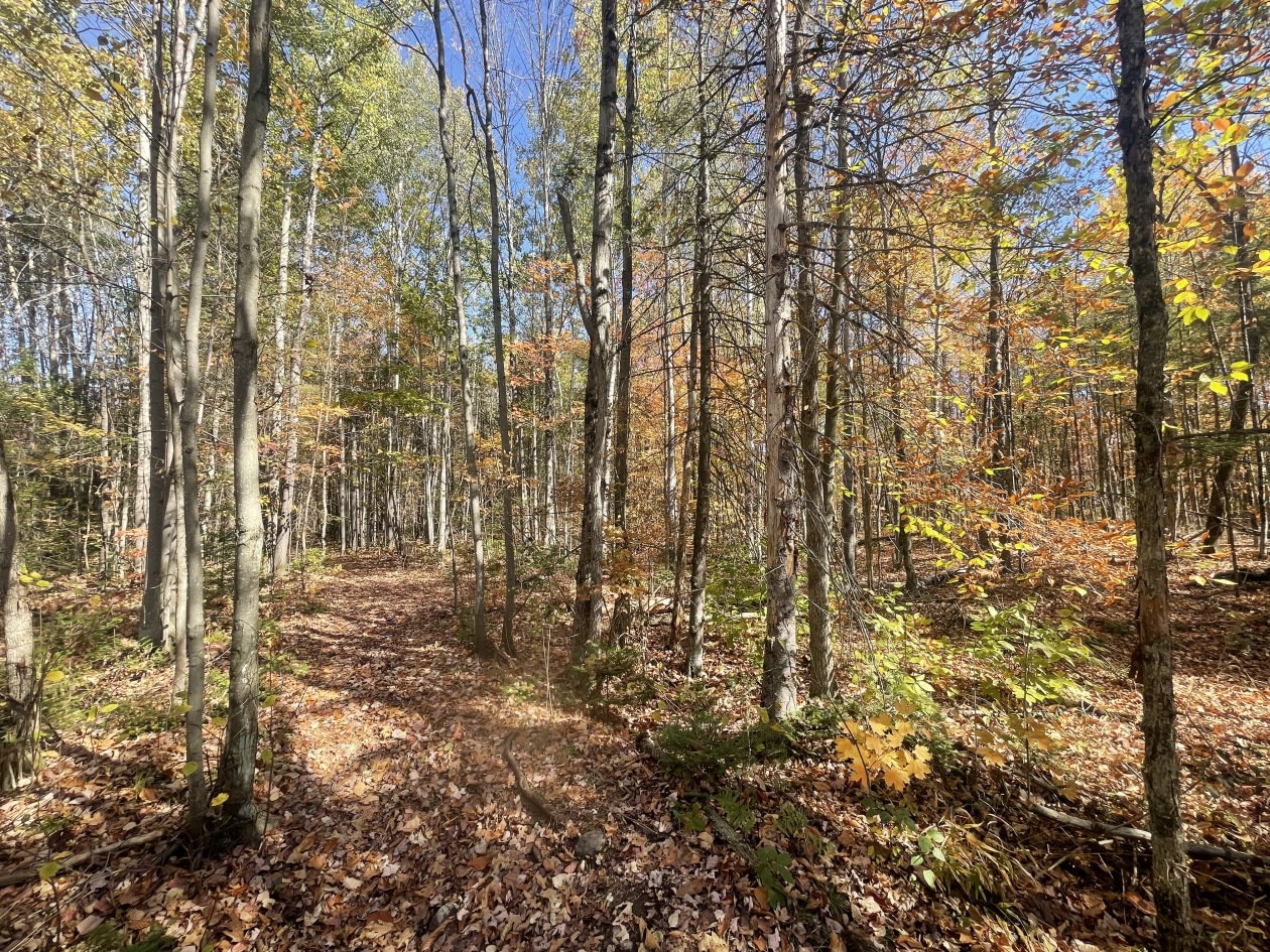 Photo 6 — Chemin Gaspard, L'Ange-Gardien, J8L 0G7, L'Ange-Gardien