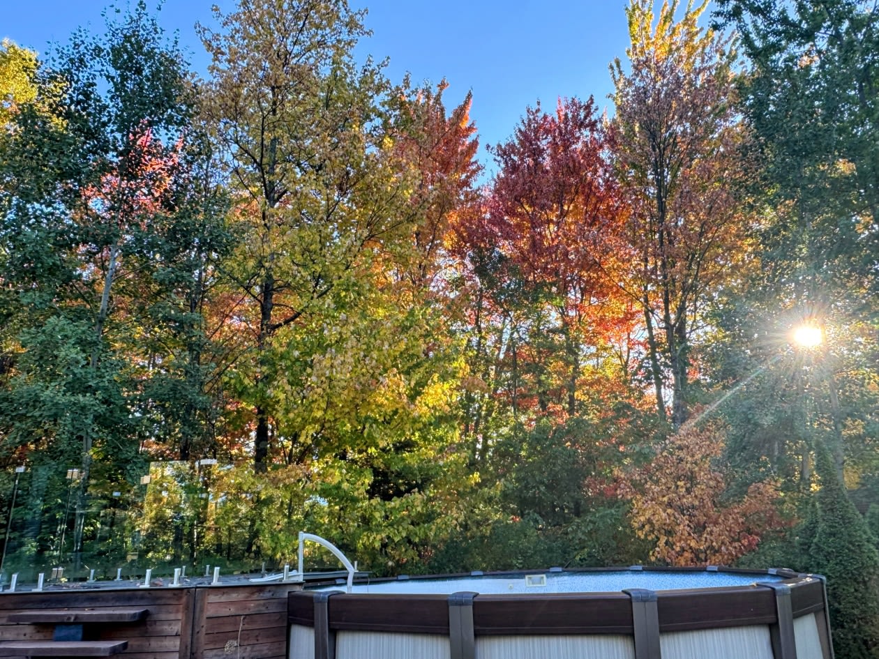 Photo 3 — 136 rue Stella, St-Colomban, J5K 2W2, St-Colomban