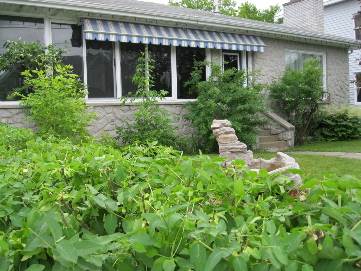640 Rue Principale — photo 2