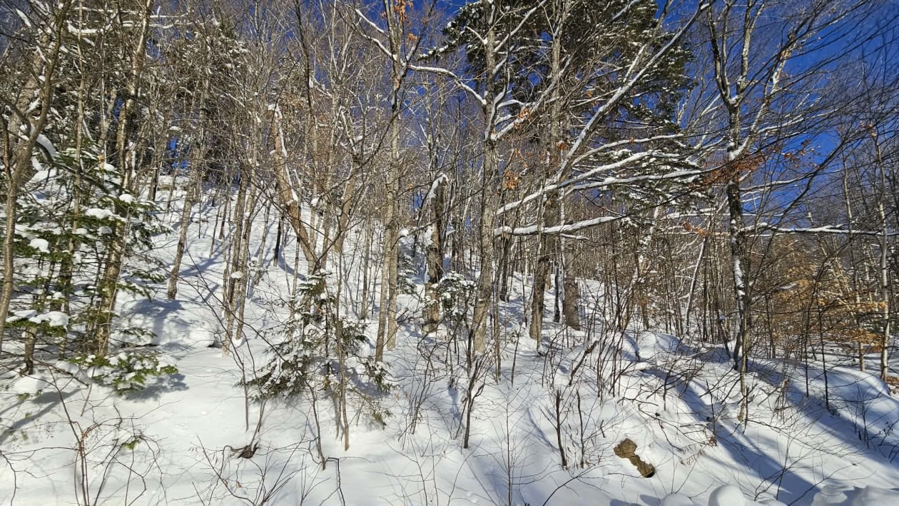 Photo 5 — Chemin des bouleaux, Saint-Adoplhe-D'Howard, J0T 2B0, Saint-Adoplhe-D'Howard