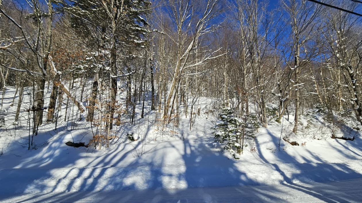 Photo 7 — Chemin des bouleaux, Saint-Adoplhe-D'Howard, J0T 2B0, Saint-Adoplhe-D'Howard