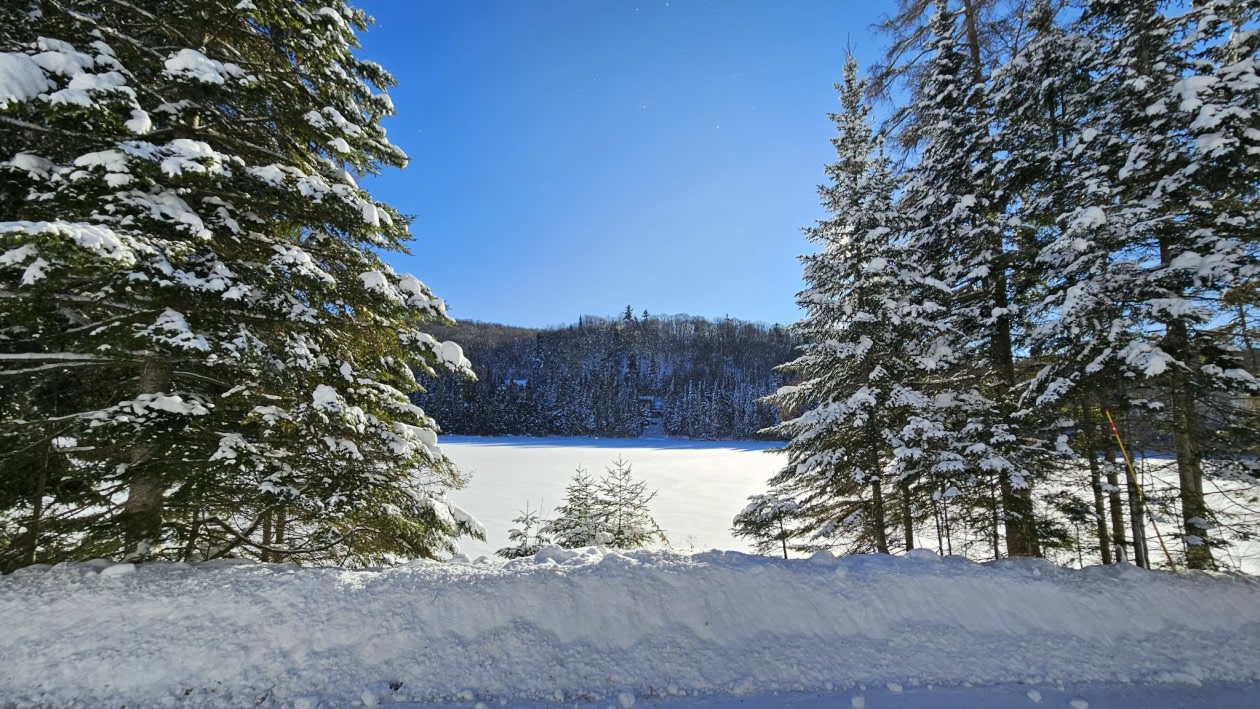 Photo 6 — Chemin des bouleaux, Saint-Adoplhe-D'Howard, J0T 2B0, Saint-Adoplhe-D'Howard