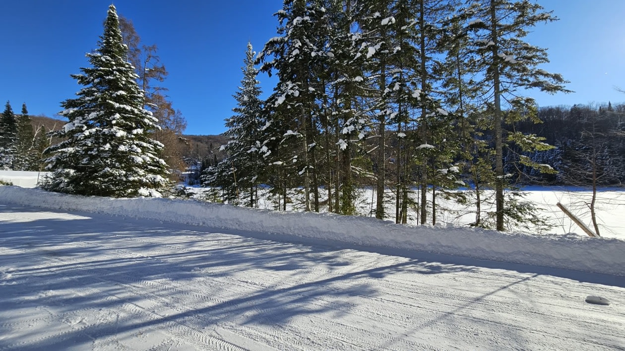 Photo 10 — Chemin des bouleaux, Saint-Adoplhe-D'Howard, J0T 2B0, Saint-Adoplhe-D'Howard