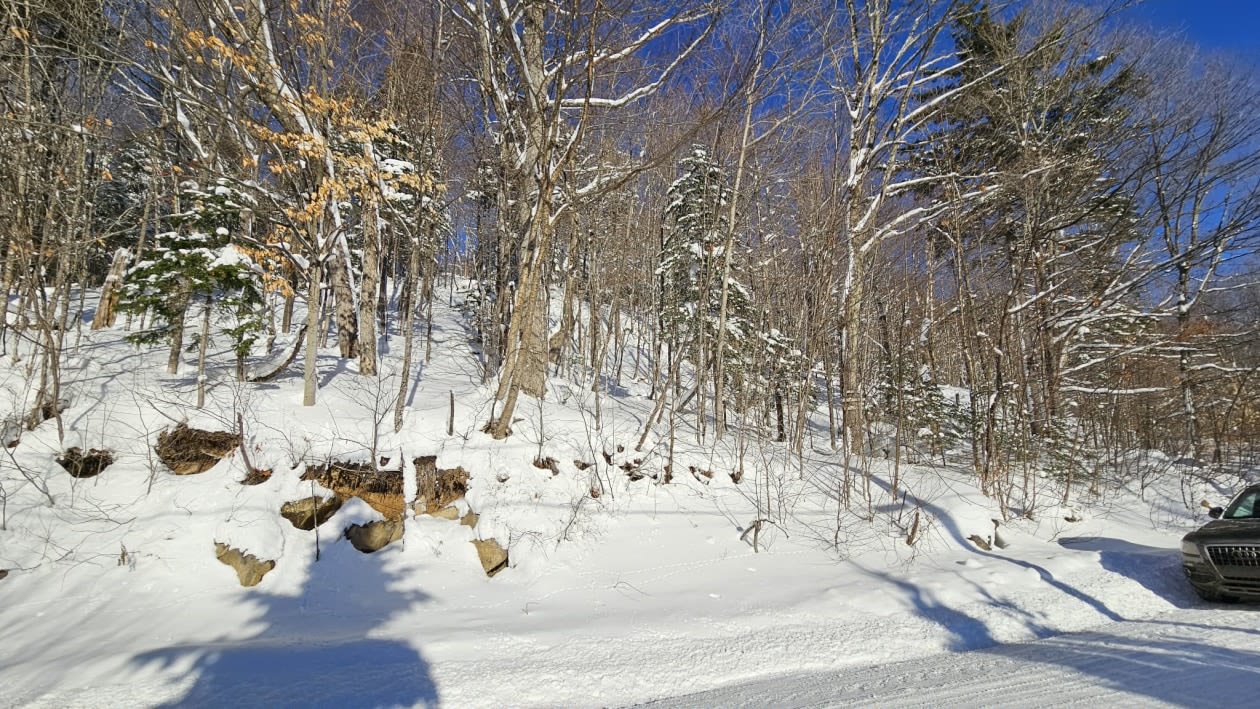 Photo 14 — Chemin des bouleaux, Saint-Adoplhe-D'Howard, J0T 2B0, Saint-Adoplhe-D'Howard